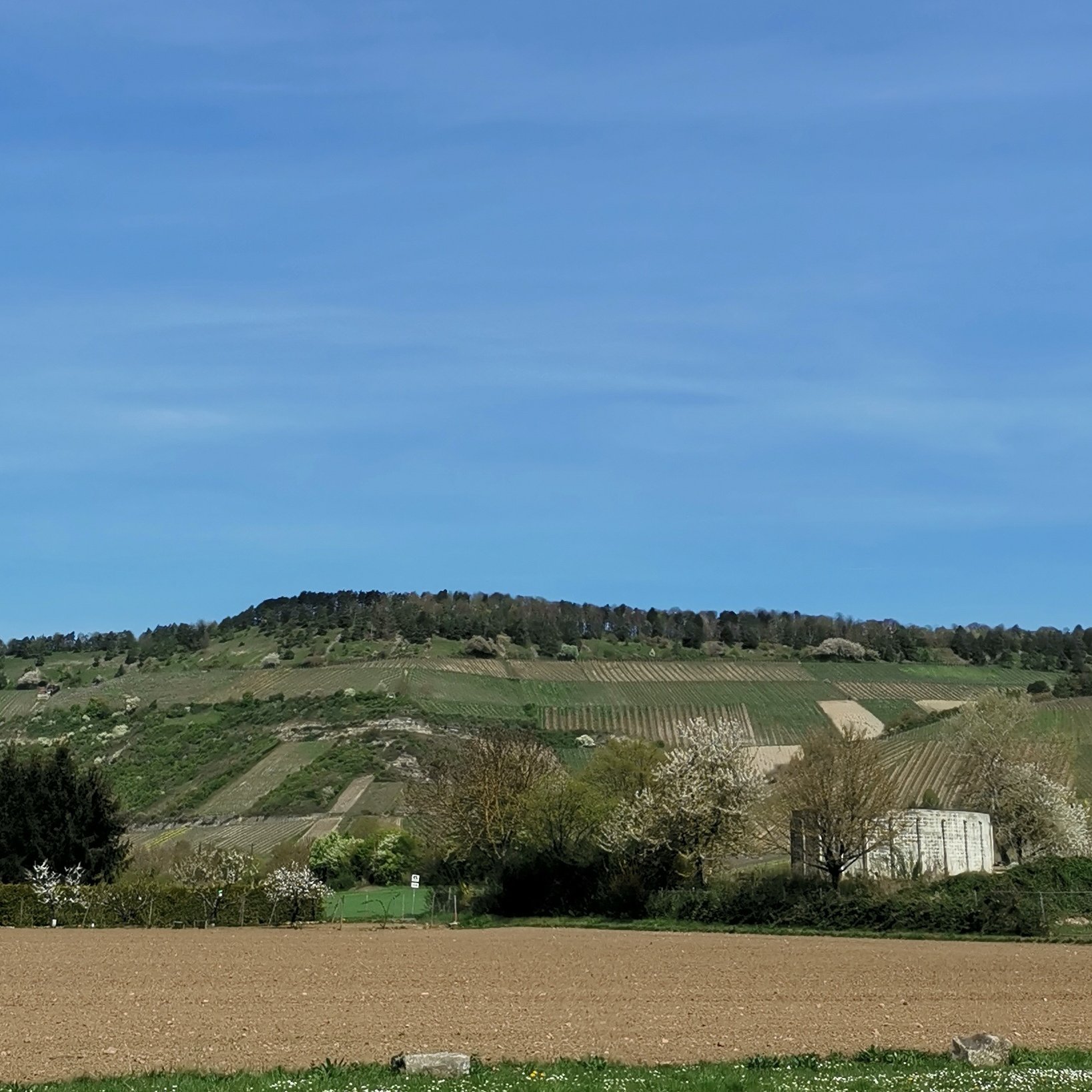 Thüngersheim — Photo 5