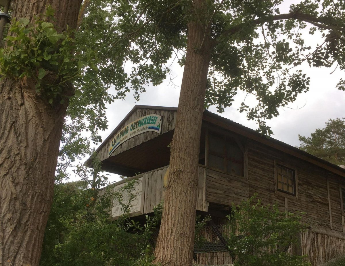 Camping am Oberuckersee — Photo 3