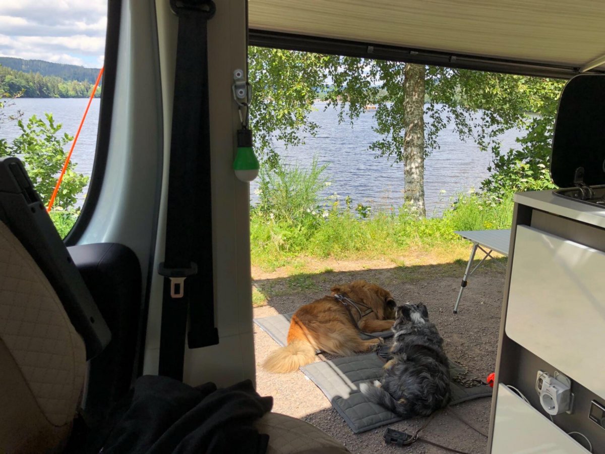 Terrassen-Camping Sandbank — Photo 2