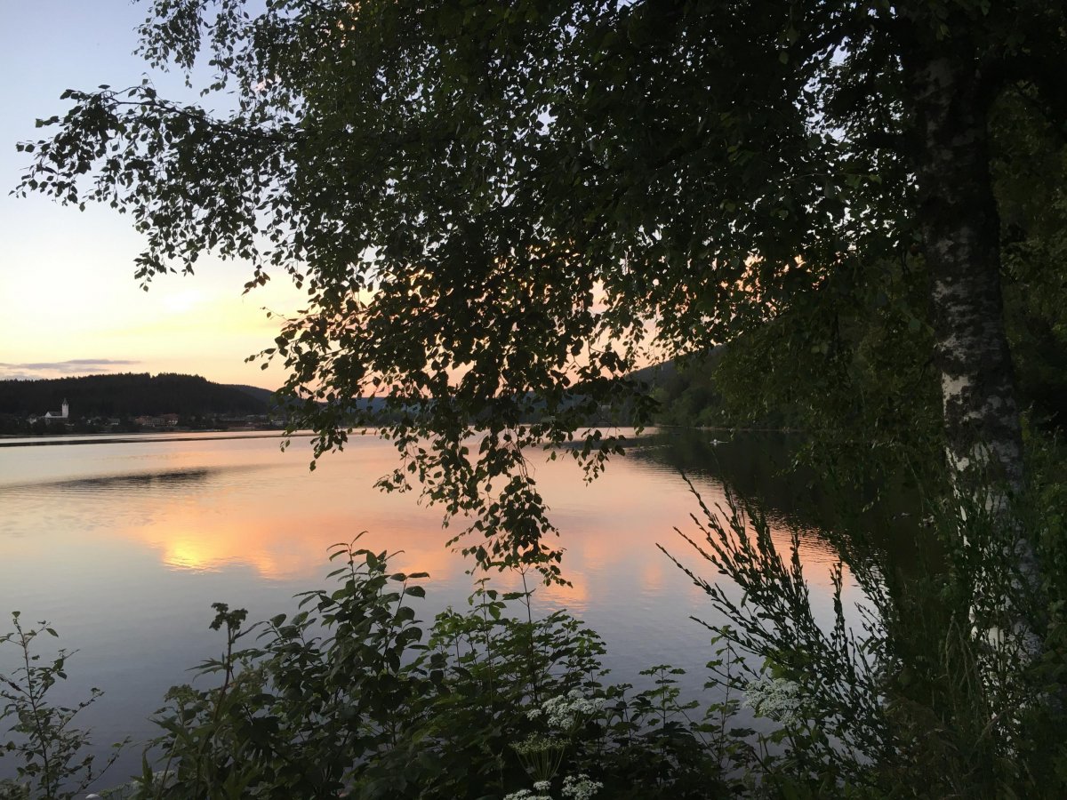 Terrassen-Camping Sandbank — Photo 4