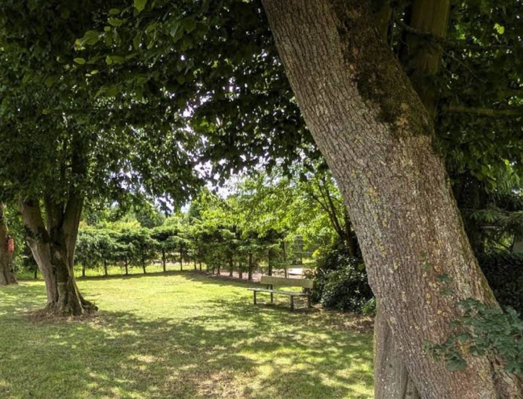 B Camping — Photo 4