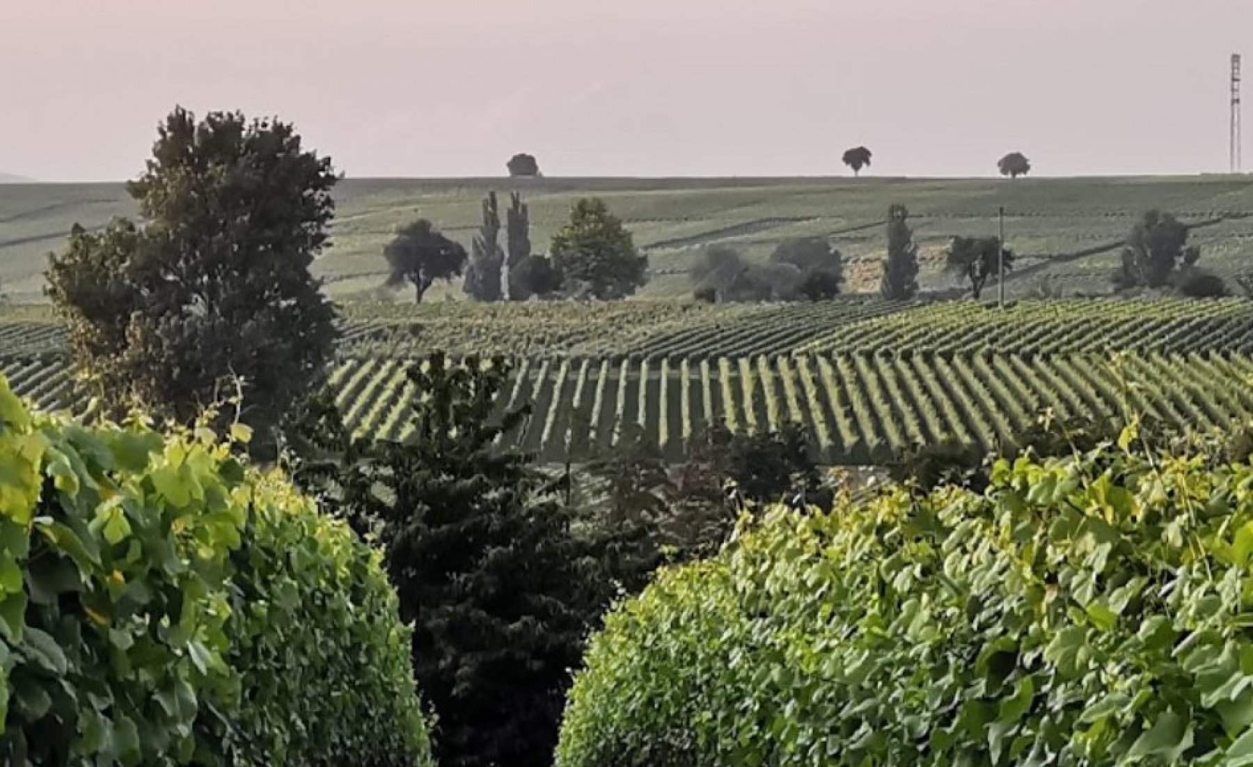 Stellplatz am Camping im Klingbachtal — Photo 3