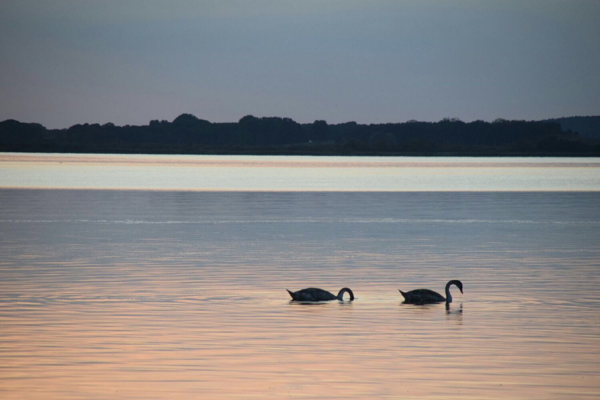 Campingpark Sommersdorf