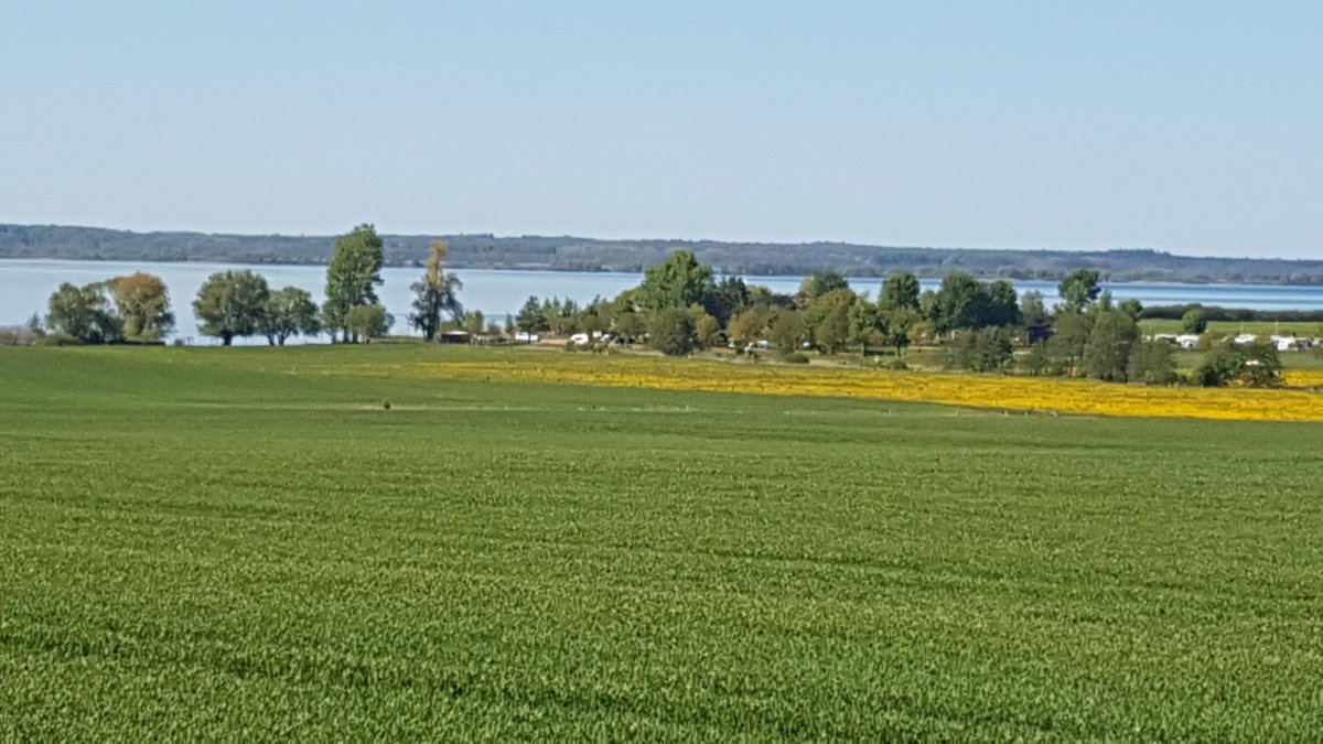 Campingpark Sommersdorf — Photo 4