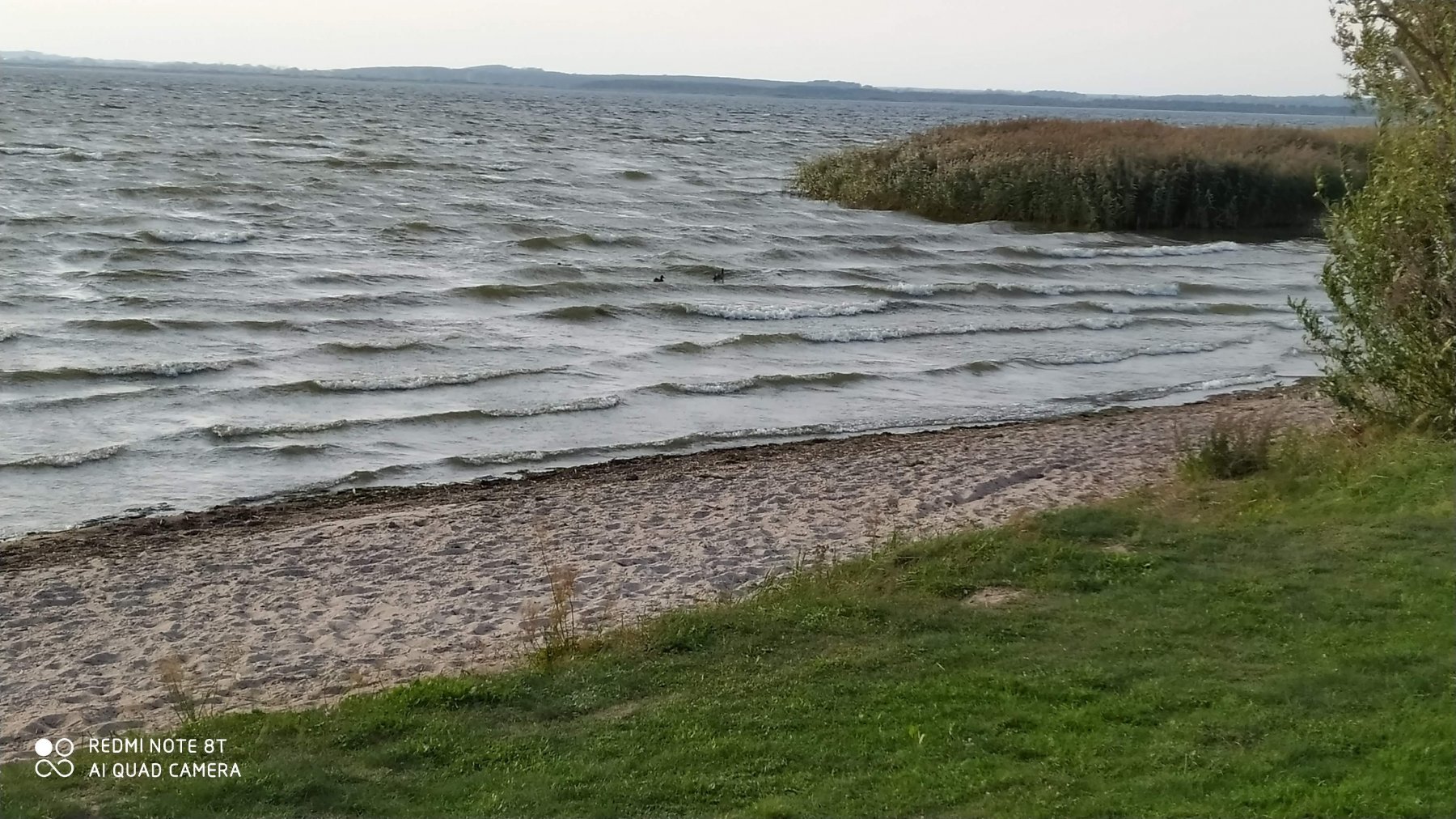 Campingpark Sommersdorf — Photo 6