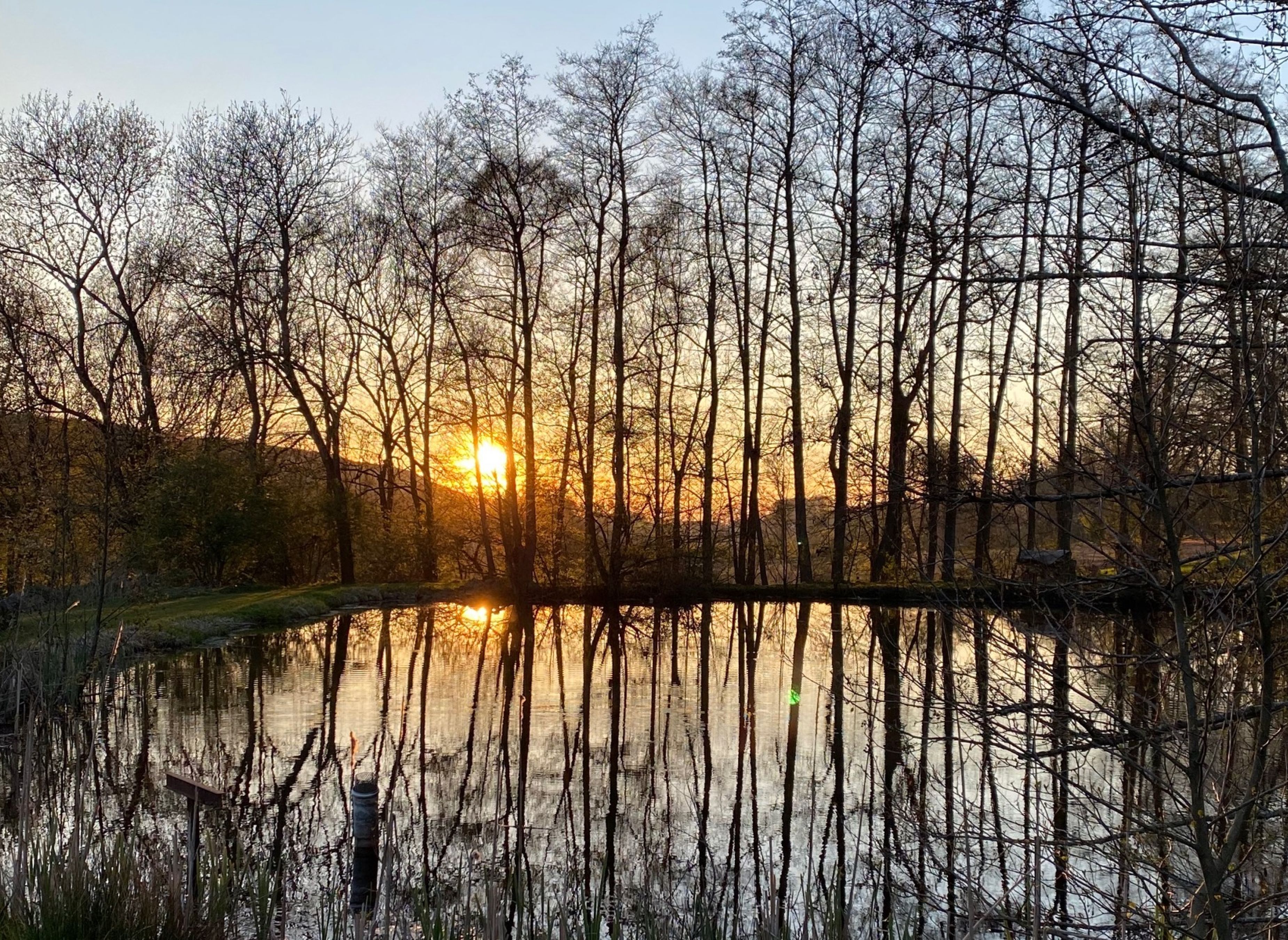 Eurocamping Lienen — Photo 3