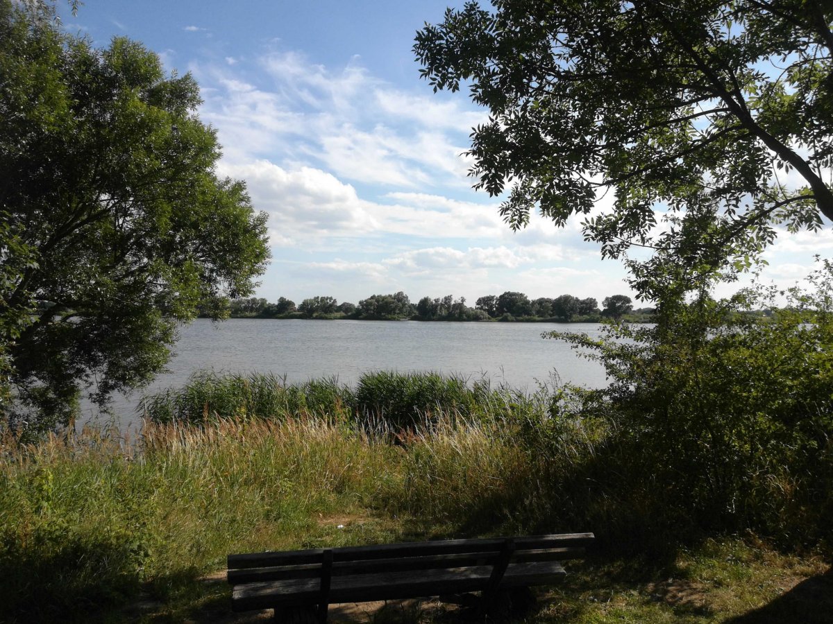 Stellplatz Alter Schiffsanleger — Photo 6