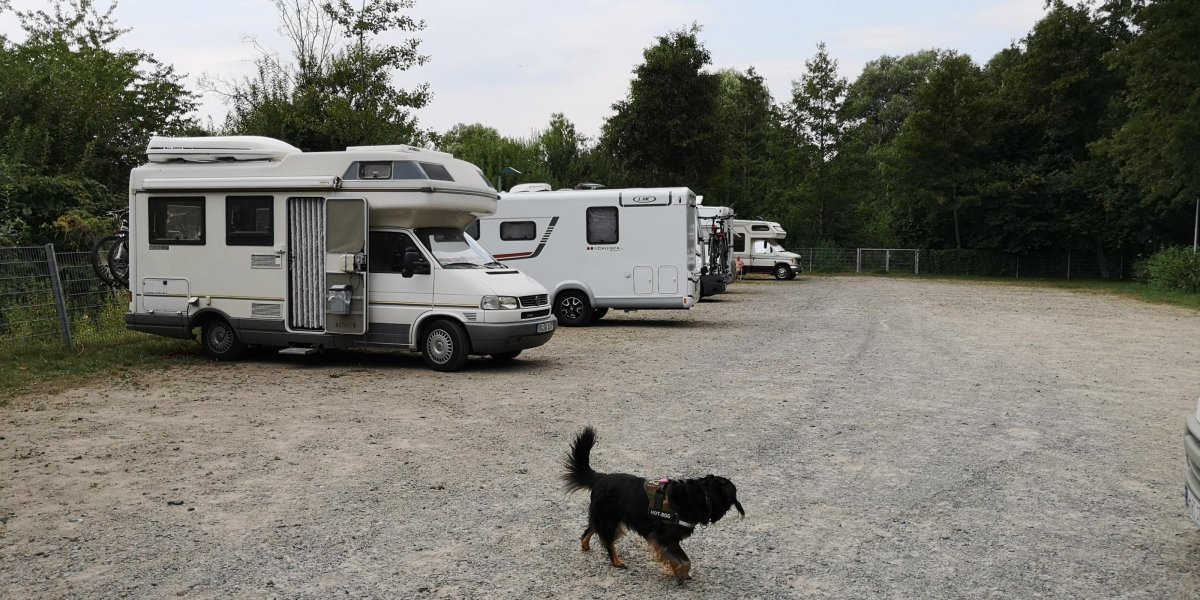 Stellplatz am Bahndamm — Photo 3