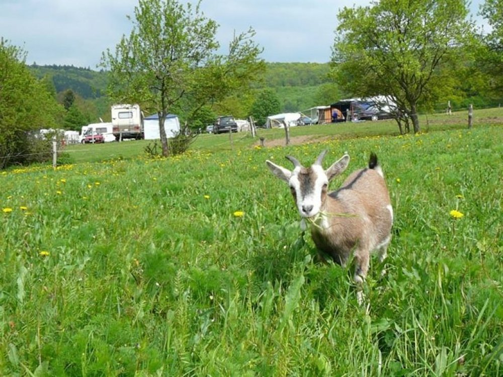 Camping Edersee Paradies