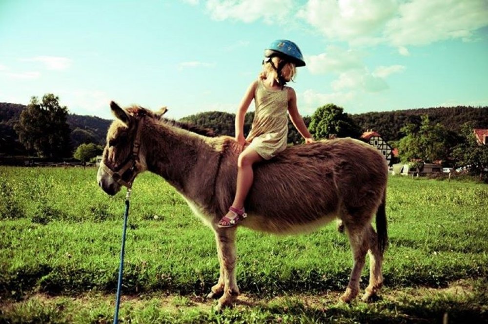 Camping Edersee Paradies — Photo 2