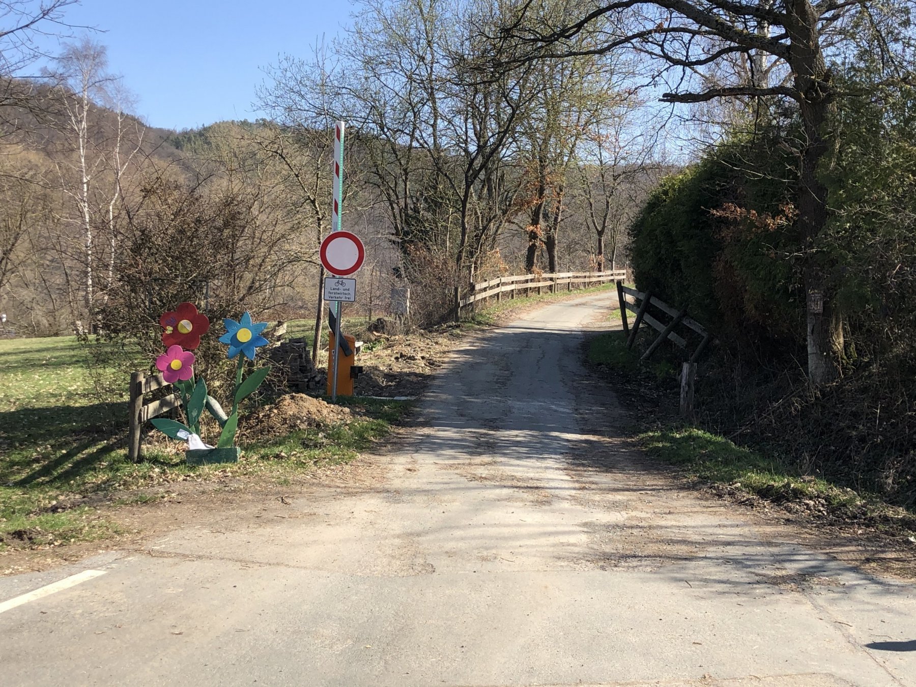 Camping Edersee Paradies — Photo 4