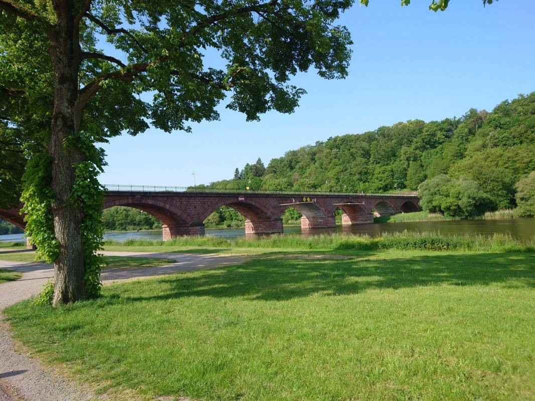 Stellplatz Martinswiese / Mainufer Marktheidenfeld — Photo 6