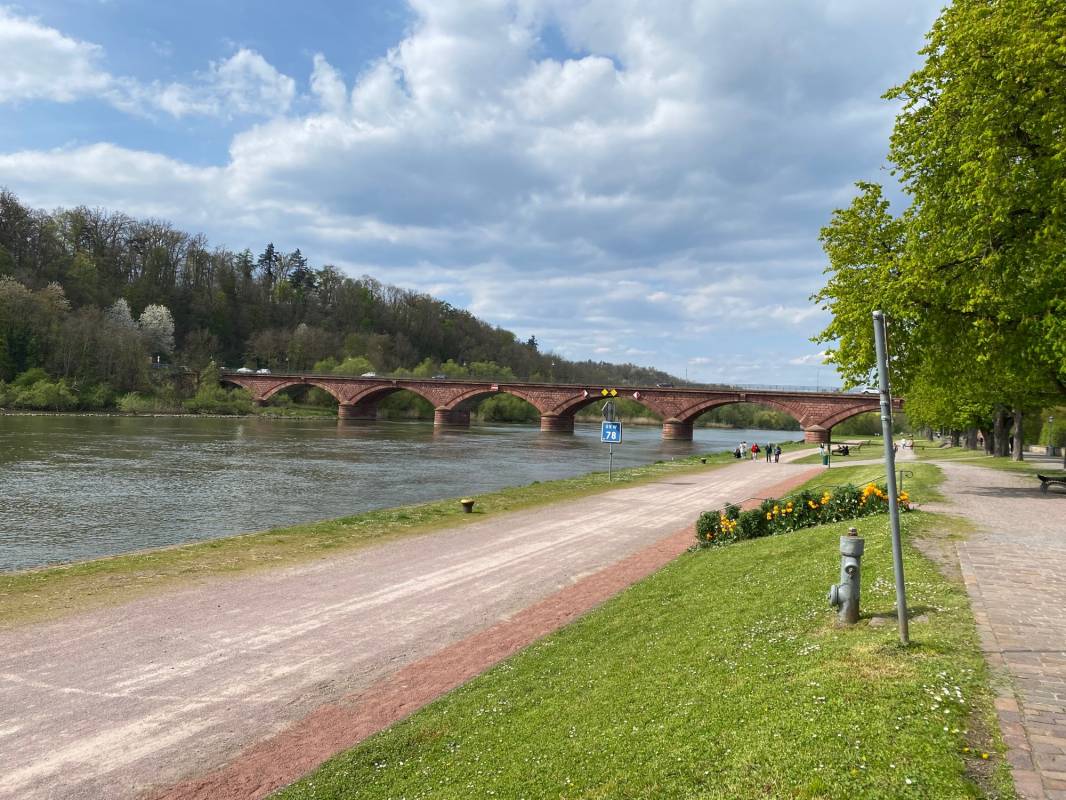 Stellplatz Martinswiese / Mainufer Marktheidenfeld — Photo 3