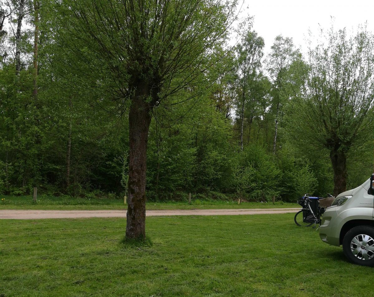 Stellplatz Dreiländersee Gronau — Photo 2