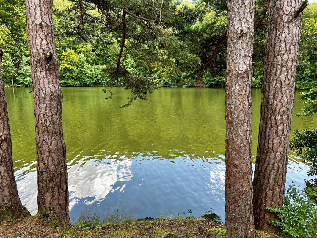 Campingplatz Urnhausen — Photo 2