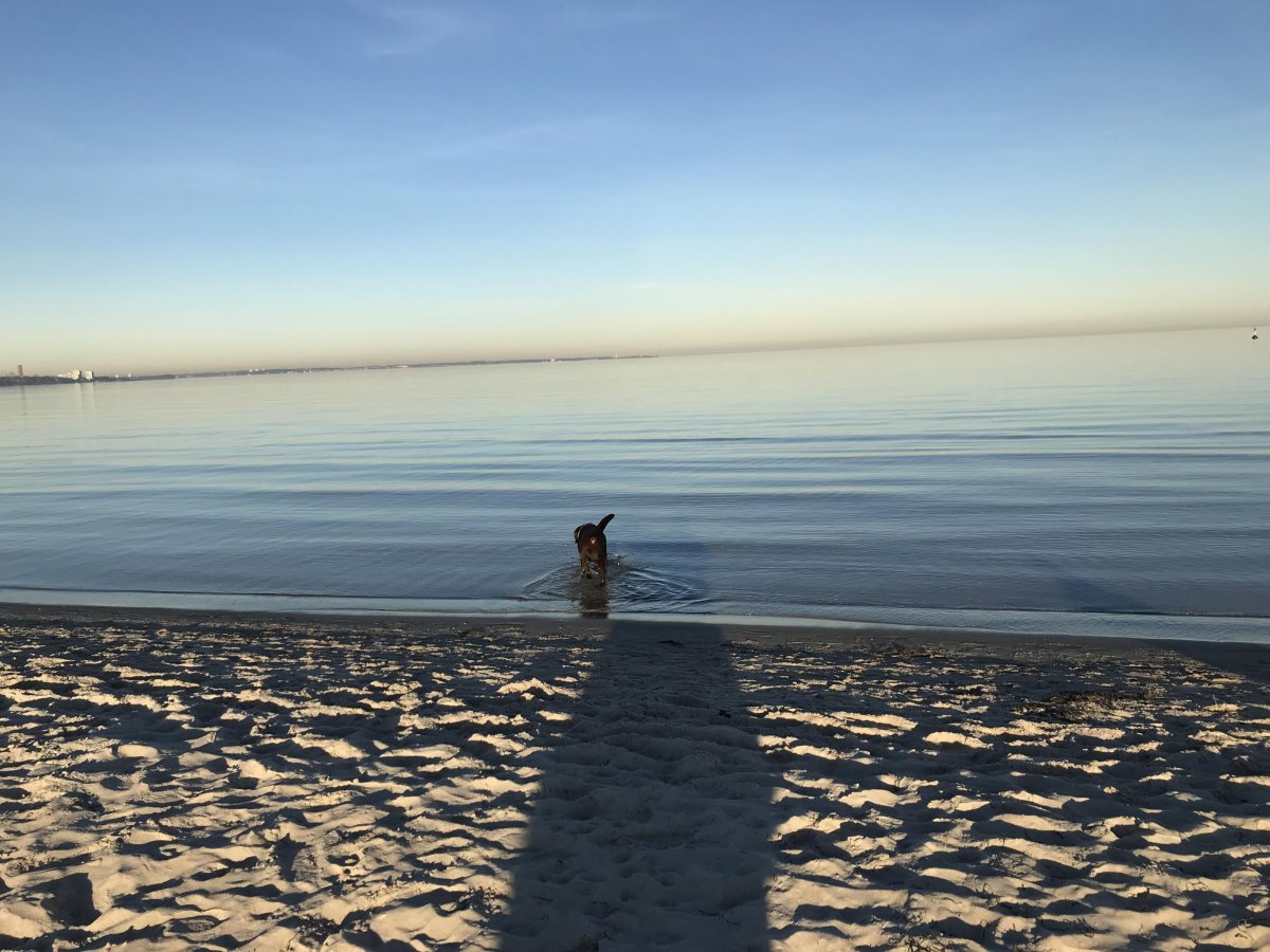 Womohafen Scharbeutzer Strand — Photo 5