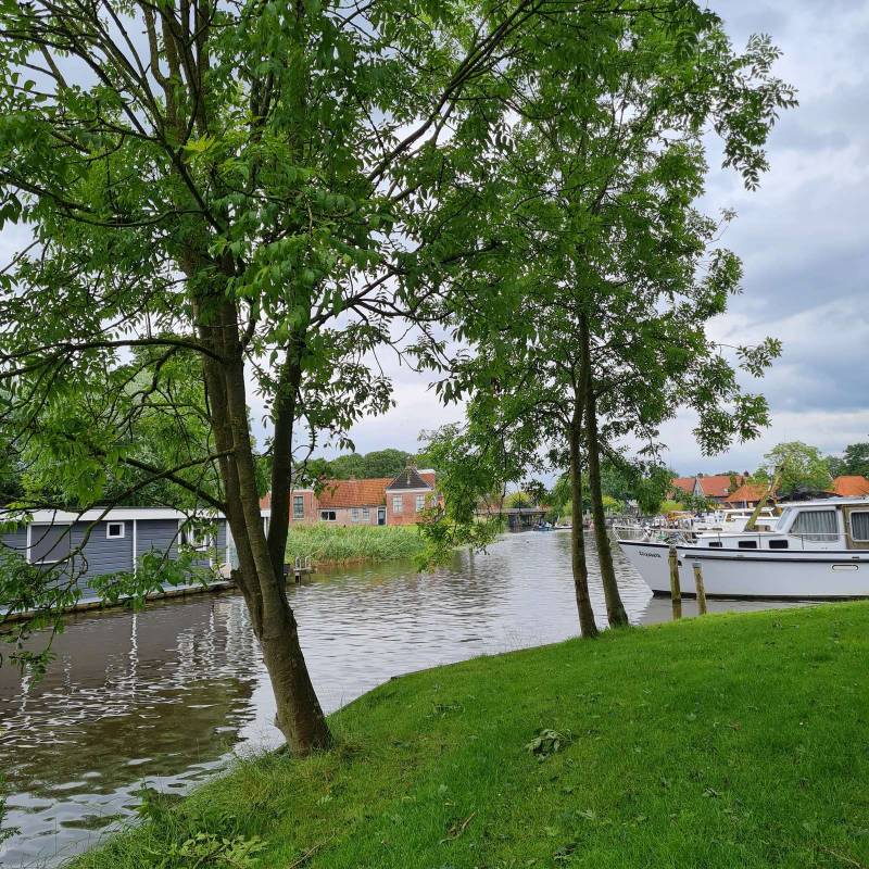 Marenland — Photo 6