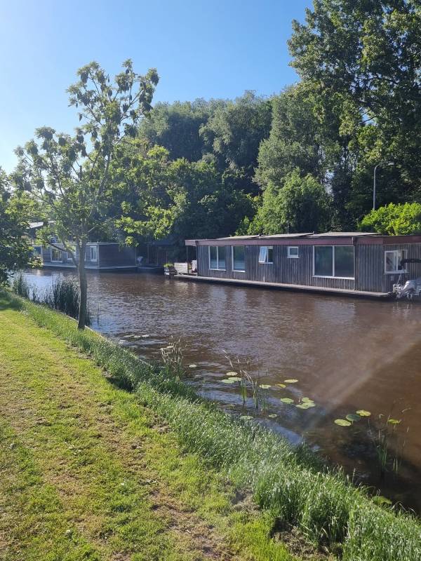 Marenland — Photo 2