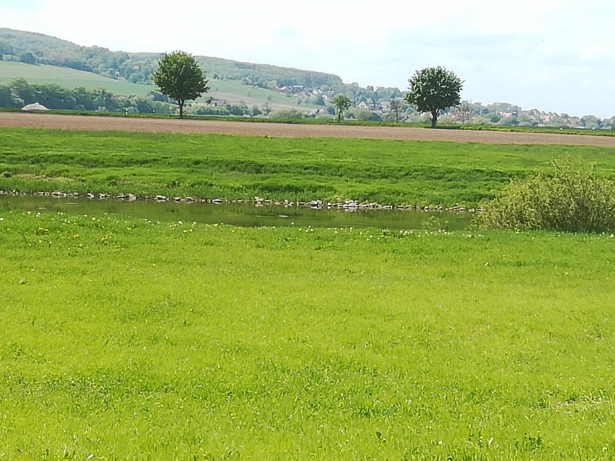 Stellplatz Am Steinbrink Großenwieden — Photo 5