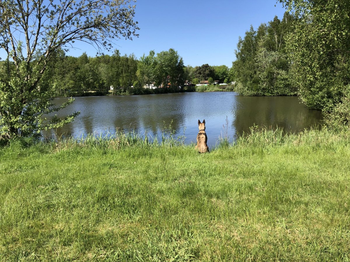 Lathener Marsch — Photo 3