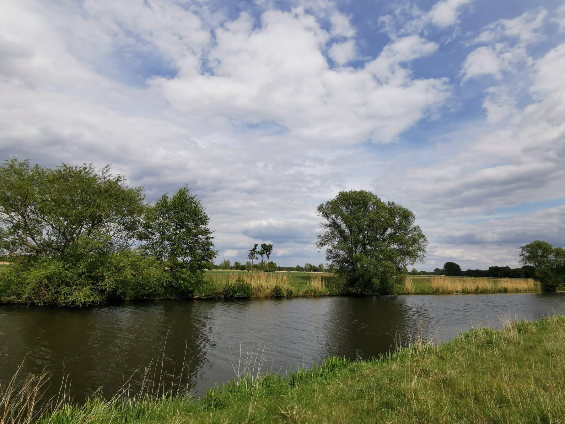 Camping am Allerstrand — Photo 5