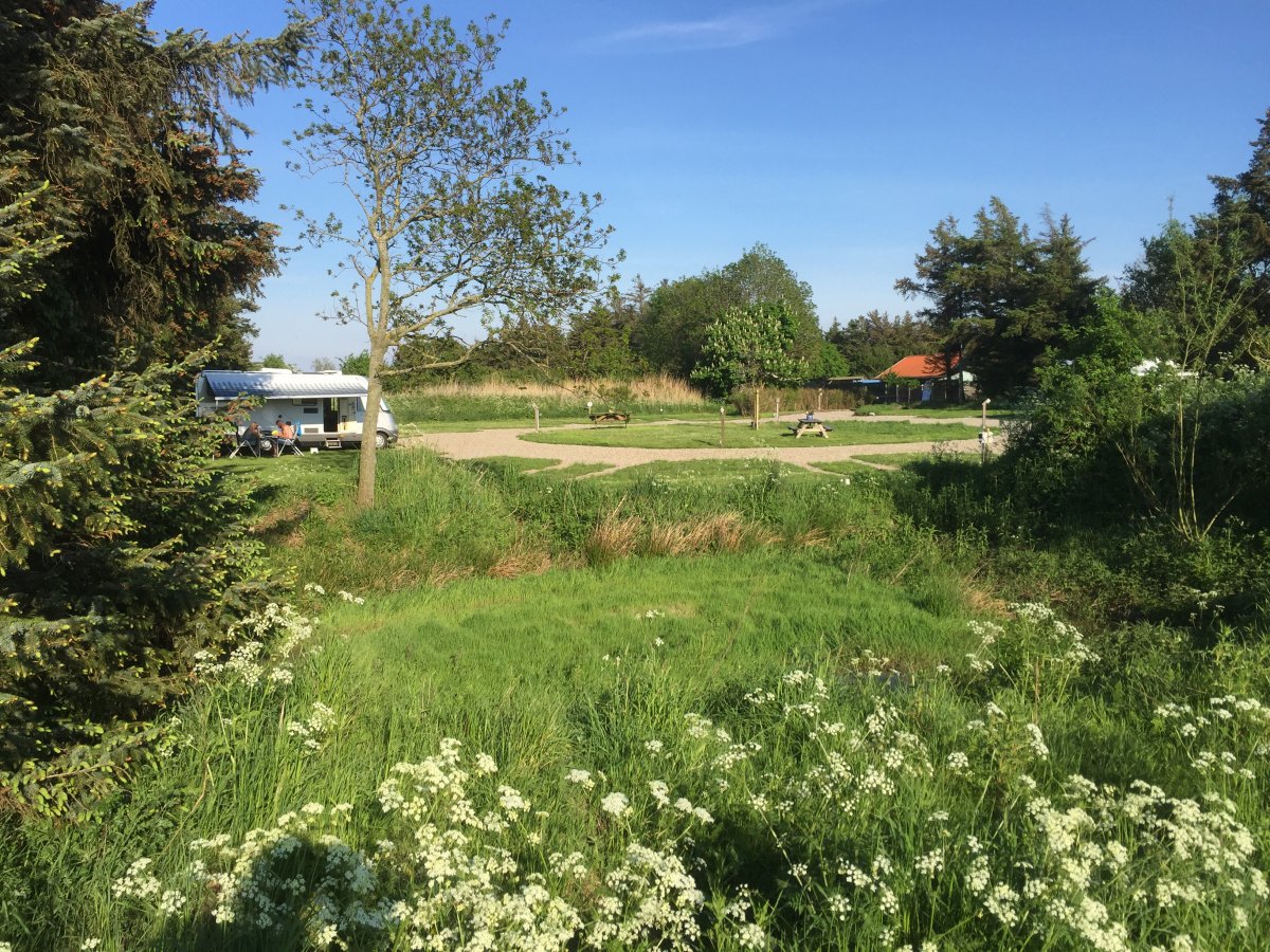 Ballum Camping — Photo 2