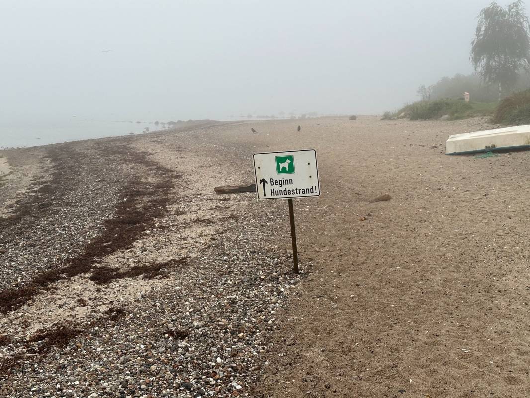 Campingplatz Grönwohld — Photo 5