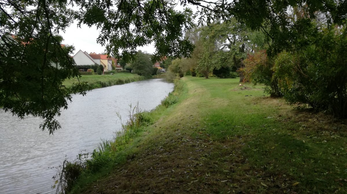 Stellplatz Torgelow — Photo 3