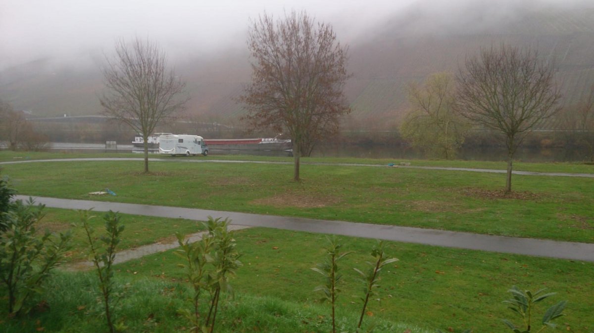 Stellplatz am Moselufer Lösnich