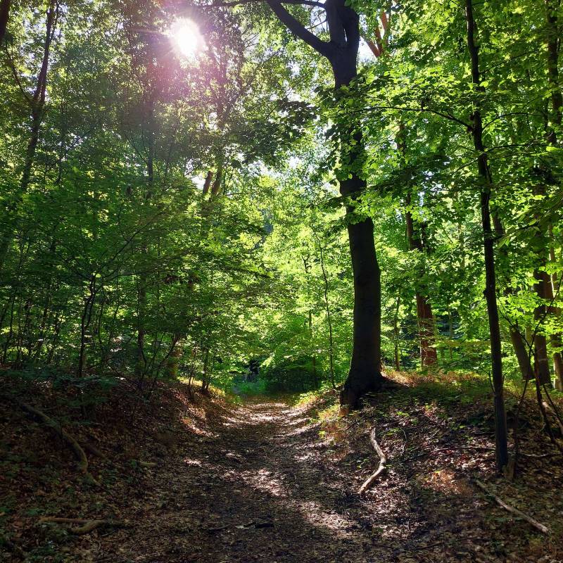 Naturcamping Malchow — Photo 5