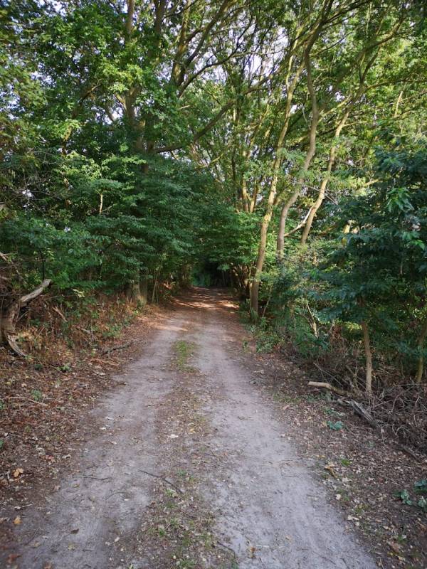 Campingplatz Hallstedter Quellental — Photo 3