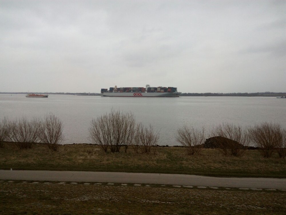 Stellplatz am Elbdeich Hollern-Twielenfleth — Photo 2