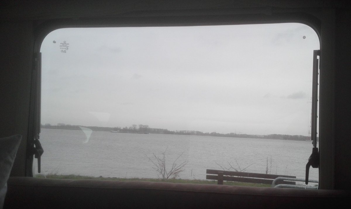 Stellplatz am Elbdeich Hollern-Twielenfleth — Photo 3