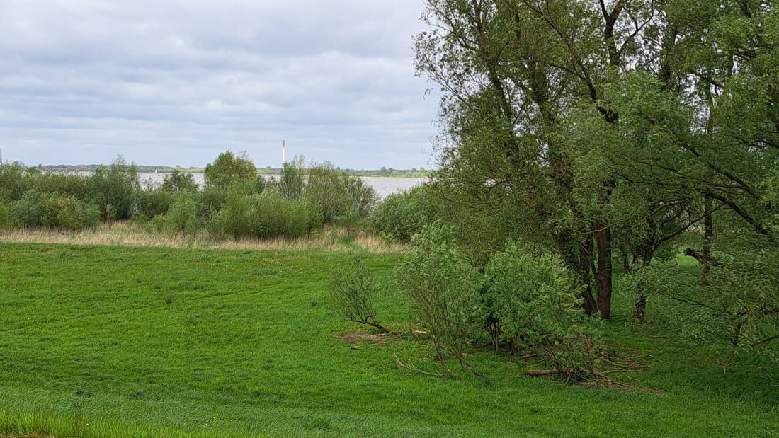 Stellplatz am Elbufer Drochtersen — Photo 2