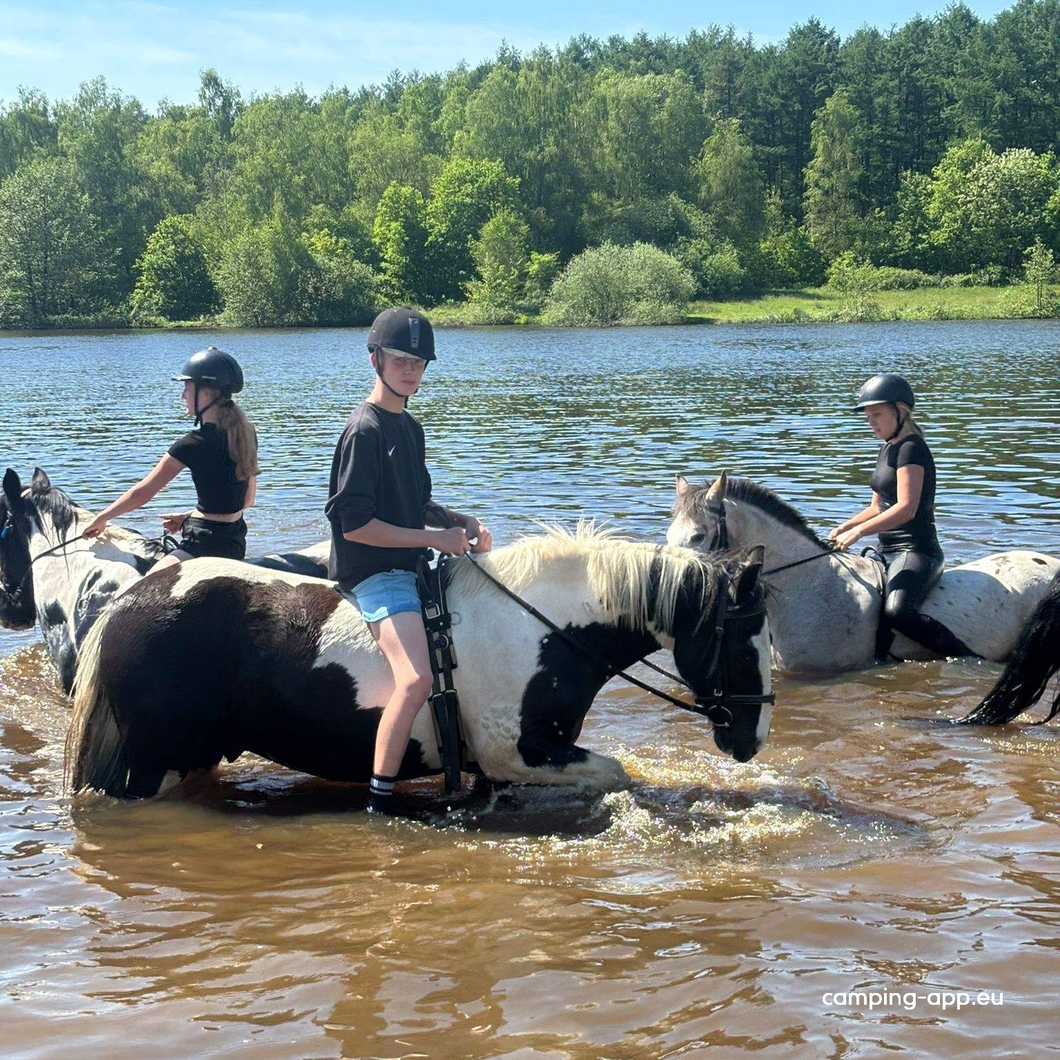 Familiencampingplatz Haselünne — Photo 6