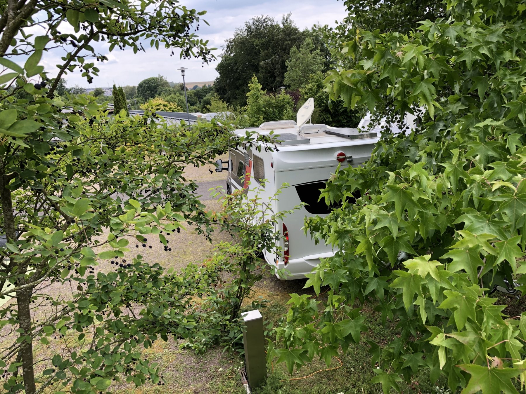 BurgStadt CampingPark — Campsite in Kastellaun