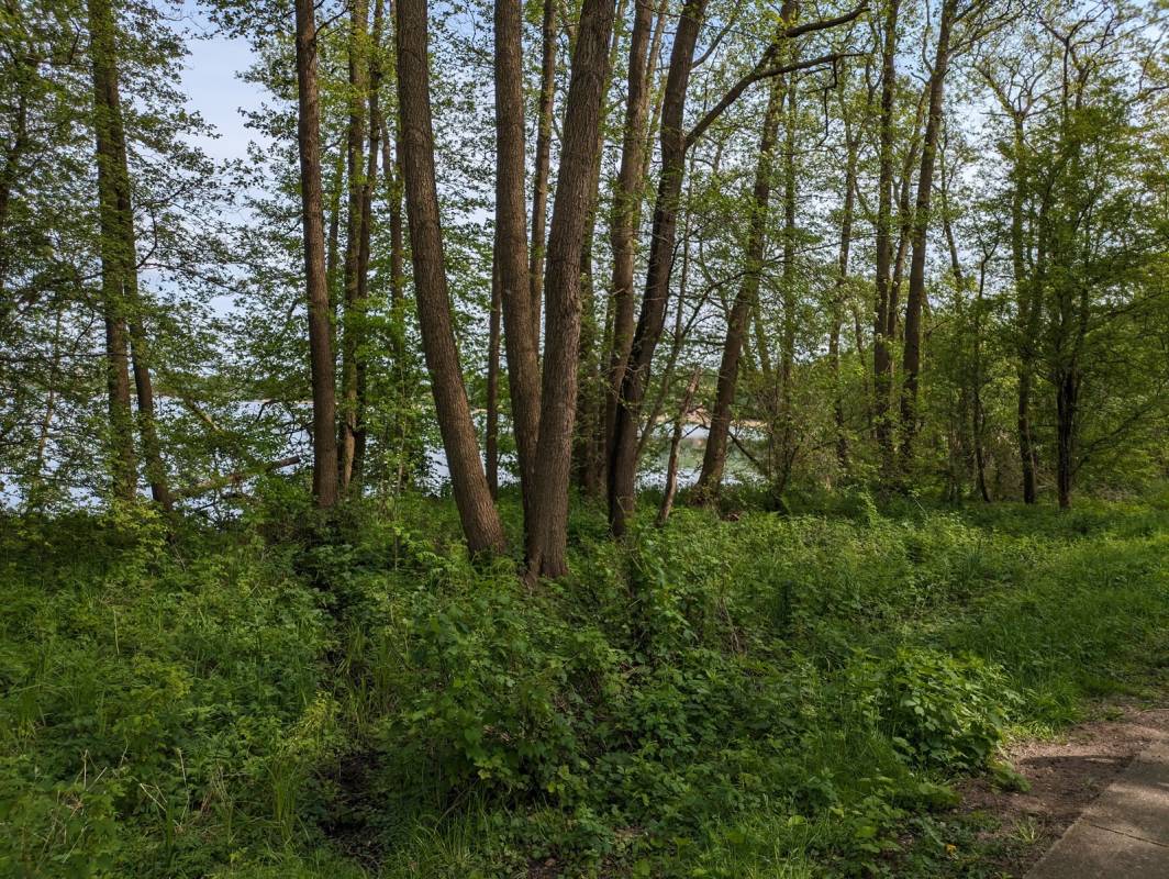 Campingplatz Idyll — Photo 6