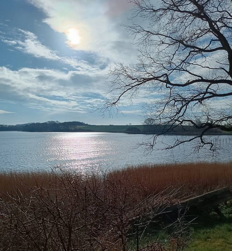 Campingplatz Wees am Ostseefjord Schlei