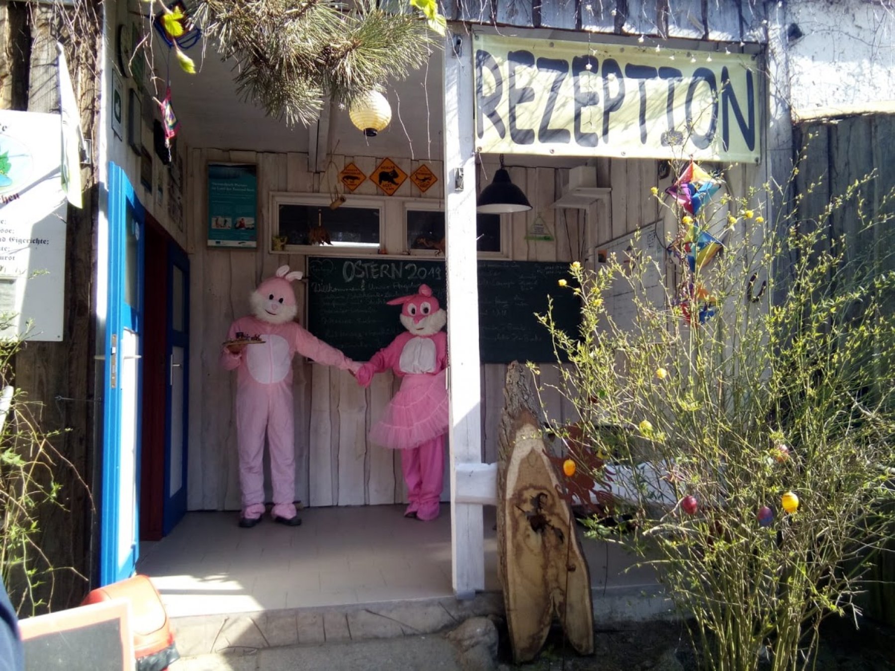 Zum Hexenwäldchen — Photo 4