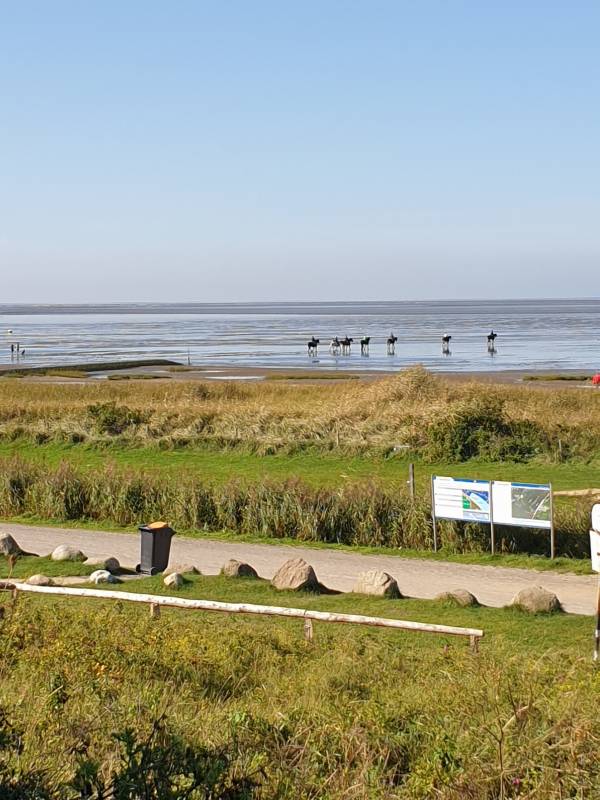 Campingplatz Muschelgrund — Photo 3