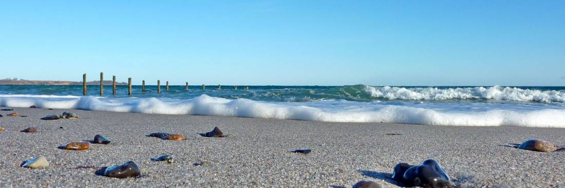 Freizeitcamp Am Wasser — Photo 2