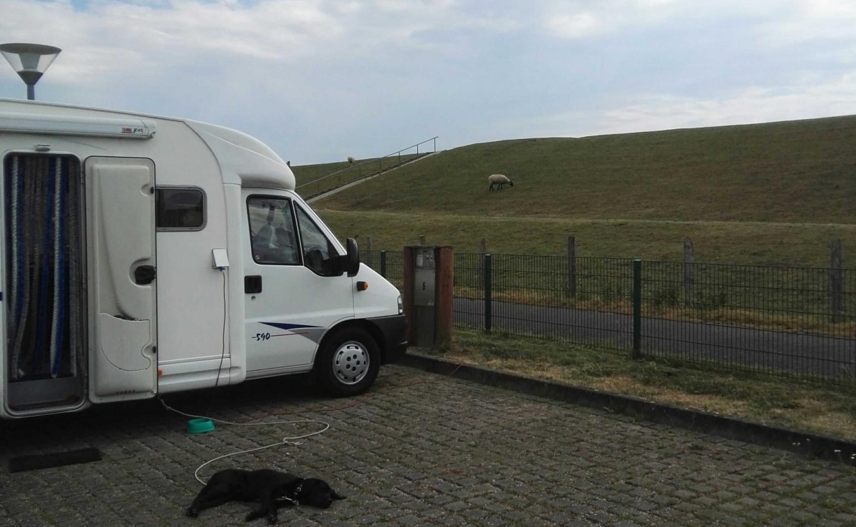 Stellplatz am Elbdeich Brokdorf — Photo 4