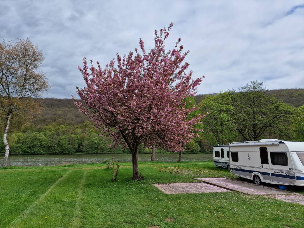 Camping Mainglück — Photo 5