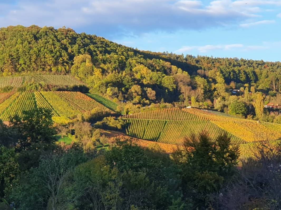 Campingplatz Untersteinbach — Photo 2