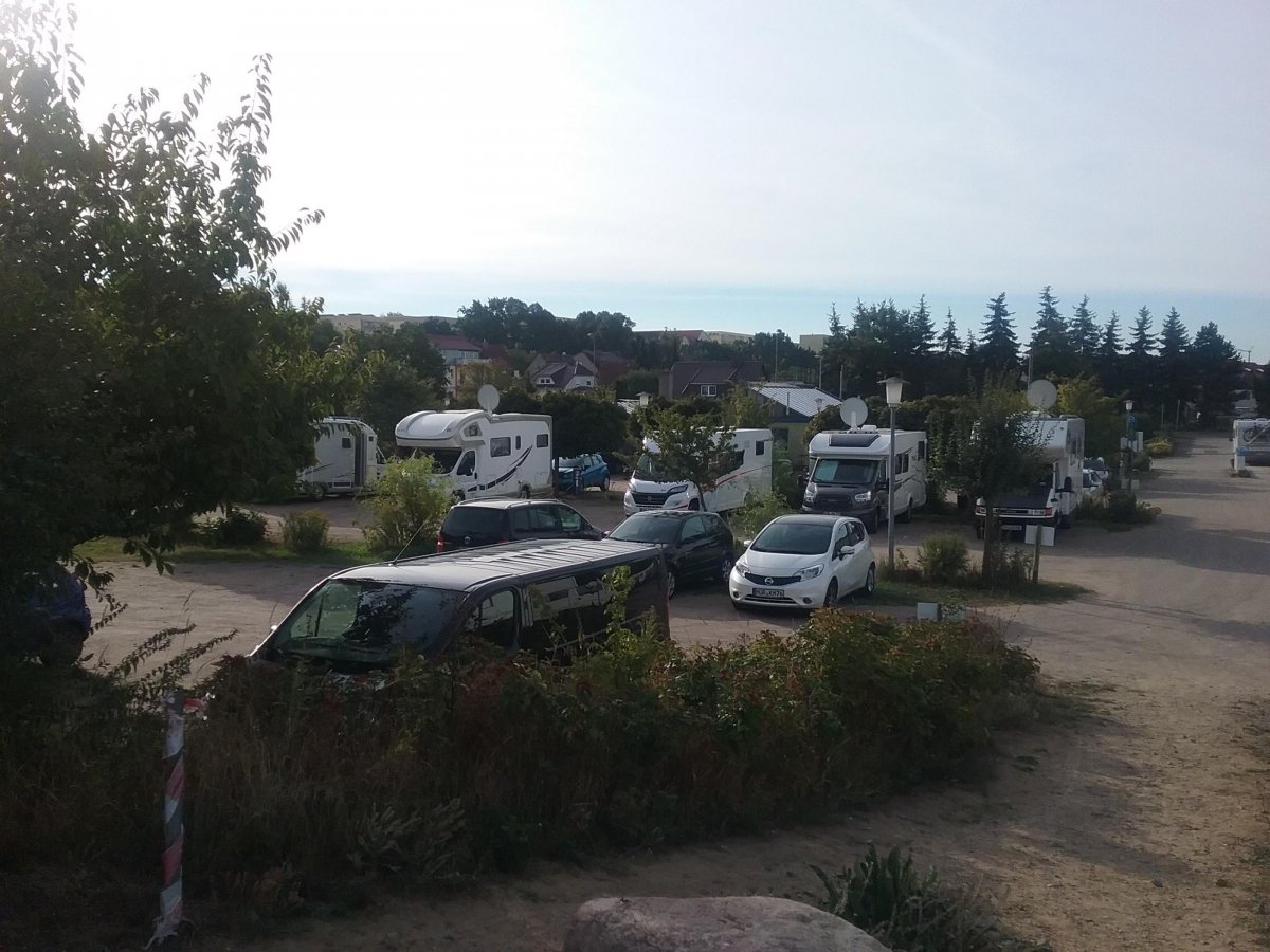 Blumen und Parken J. Steindorf-Sabath — Photo 5