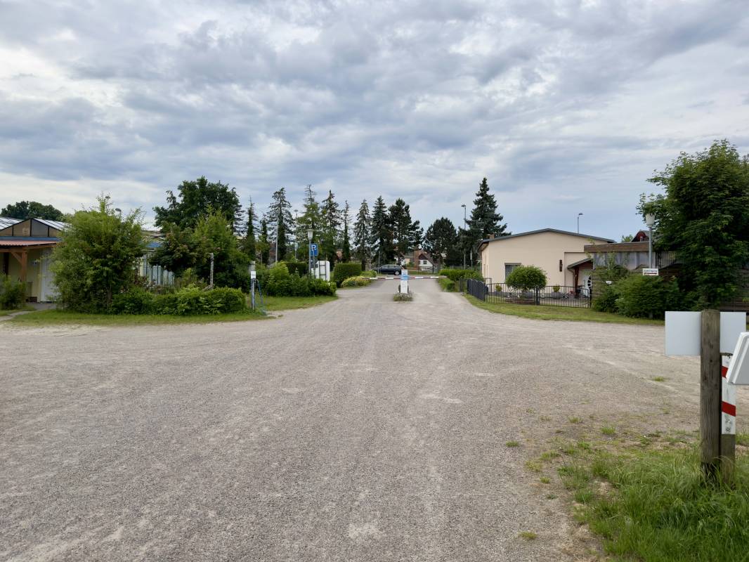 Blumen und Parken J. Steindorf-Sabath — Photo 6