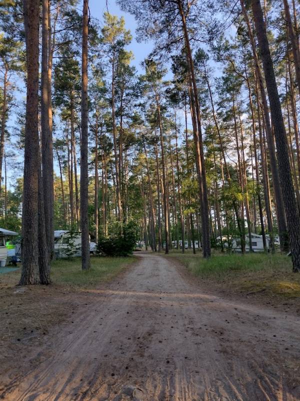 FKK Campingplatz am Useriner See — Photo 3