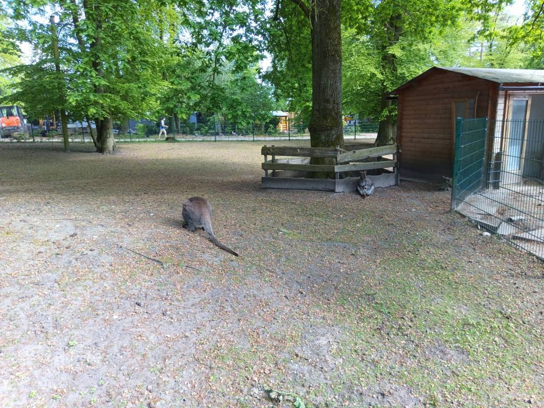 Campingpark Bielefeld — Photo 4