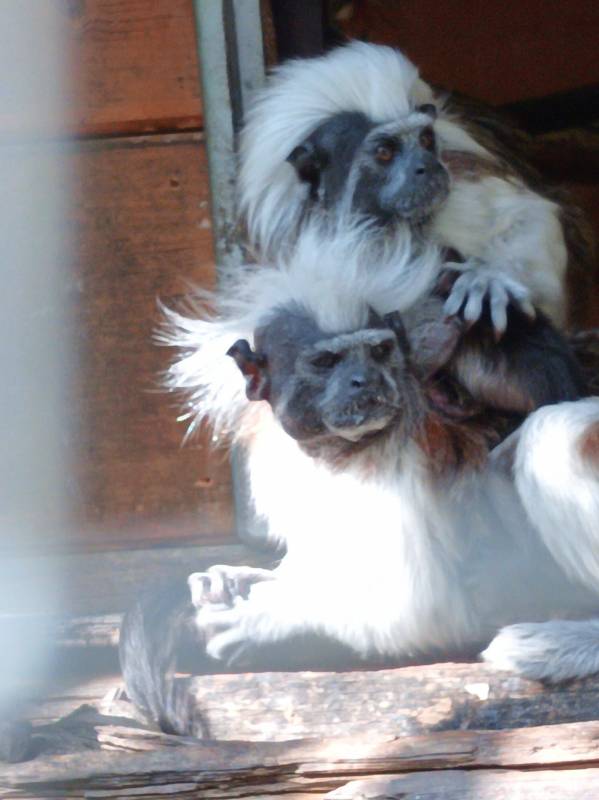 Campingpark Bielefeld — Photo 6