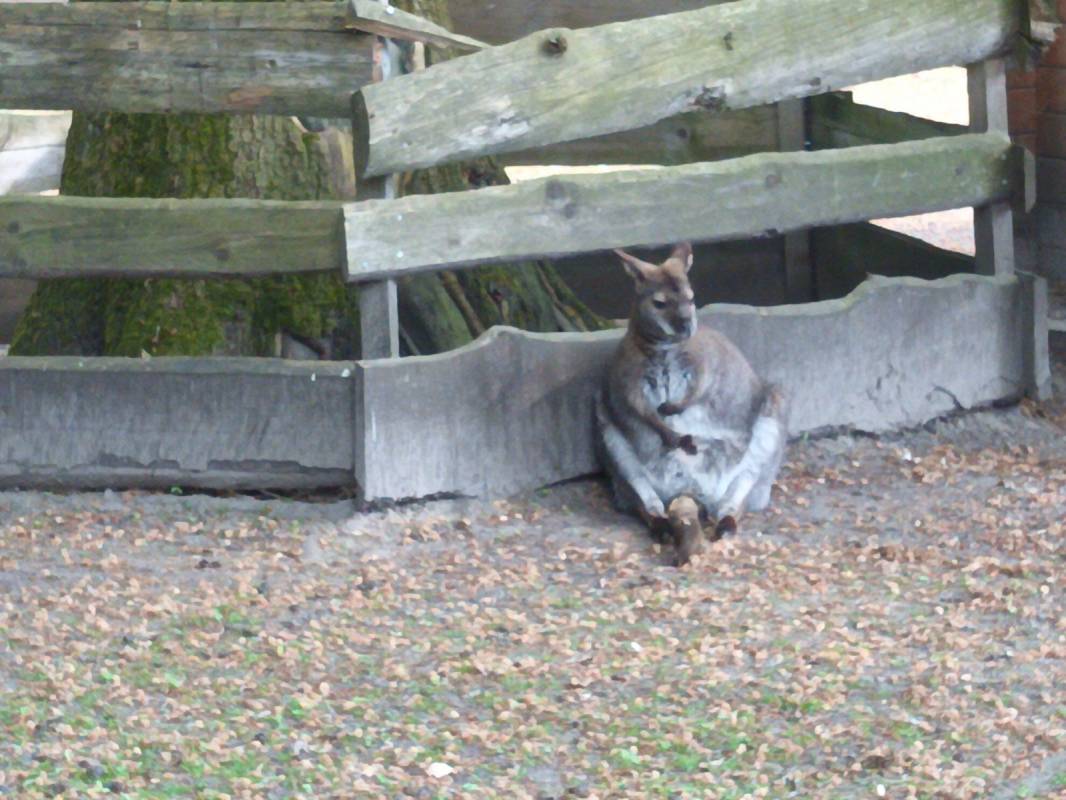 Campingpark Bielefeld — Photo 5